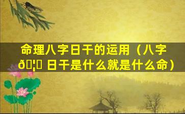 命理八字日干的运用（八字 🦍 日干是什么就是什么命）